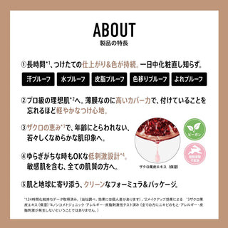 V4H378D22758EFDAE611C9D691CC209B5B2R7424010P1