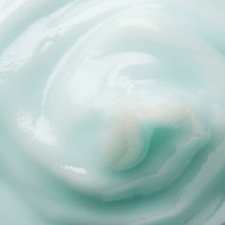 V5H3127157D237151C58C9FD973C28CFC28R5056329P2