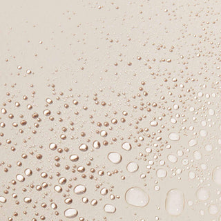 V2H9ED2BFE77B05FCC20299708922BB3CECR7495114P3