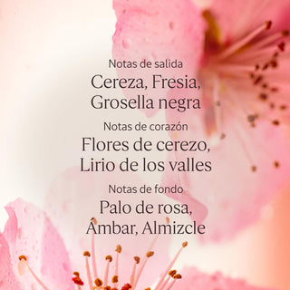 V4H029D432E27B76117FA4CEDA3B627E7A3R7407089P4