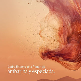 V3H3E96E67B7021DCAE836E6E877317C245R7407116P3