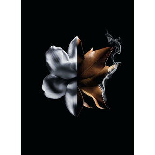 V4HA94868E4507C3D603F80BBACB150FA25R6240162P6