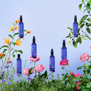 V2HBA22706EBF7E9B06E89532D3F2911F1CR6987267P6