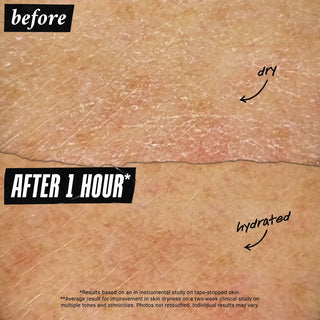 V2H610D2D2F6AFFB54C787B22BB2EBEE291R7659588P5