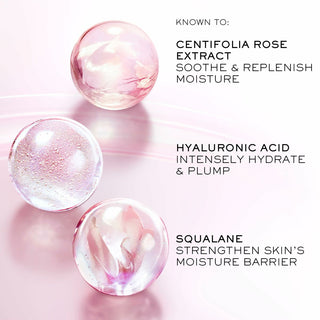 V5H6B6A3F5DCCAF95FB71B102F52249A8F2R6240363P4