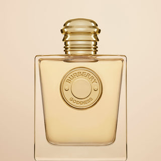 V4HDCDE7CE2B85DEA5C2AF4A2D03CDB5EE5R7327299P9