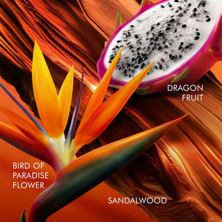 V4H68A311BD8D8E926A49EED6215D0B49CDR6240854P3