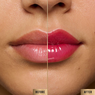 V2HAE1A45F1F6CEF97239F4A9BDA462A2F1R7424765P2