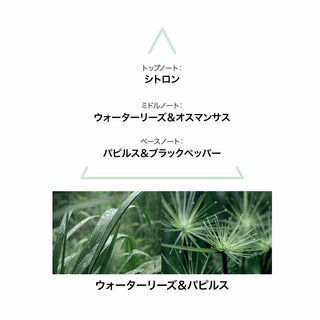 V2H75A089F122357ED96FBBD32DEAEA6905R6996324P3