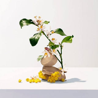 V12HED75214CB6F40A58C4E1BADDC13DB04AR3295177P2