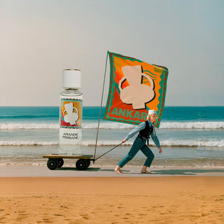 V4H43B3A00389A3F95414033E7DC6DE1D44R7356017P3