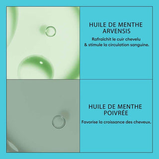 V2H01C70D53BE66C32C9A0B15854B21BC6BR7509603P4