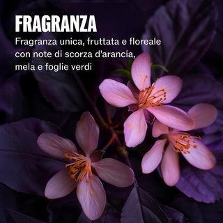 V2HFCDCFEEC468236187A5B7C1B978B3DA9R7662714P9