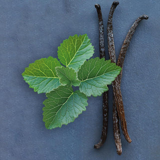 V2HA402E546EAA28395559BCC34333C22B2R7528116P5