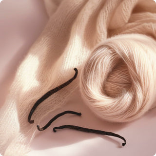 V4H3E1E1C54FD3F997685804964DECD1369R6970218P7