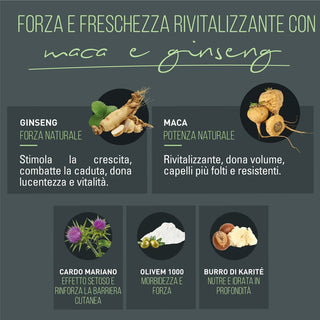 V4H64C11BF28FB883354054382DBD796A3AR6240244P3