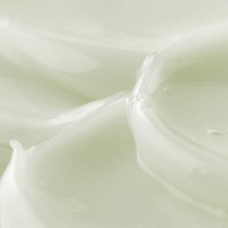 V2H52E6F7EC11925E65B36FC072FCD7D7A5R7528384P5